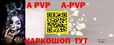стафф Партизанск