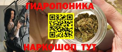 стафф Партизанск