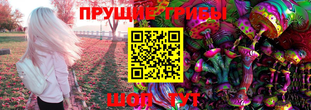 Псилоцибиновые грибы GOLDEN TEACHER Чебаркуль