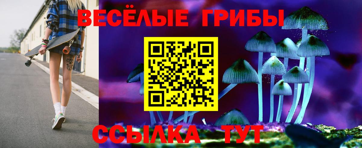 Чебаркуль  Галлюциногенные грибы Cubensis  Вход с VPN 